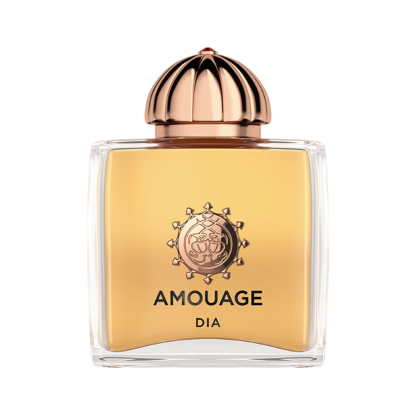 Amouage Dia Eau De Parfum Spray 100ml
