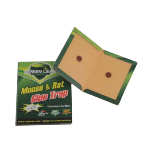 מלכודת ספר לעכברים