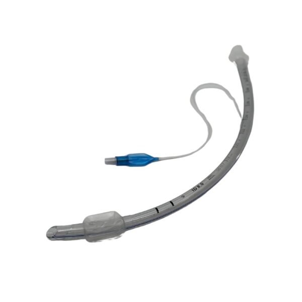 טובוס גודל 8.0