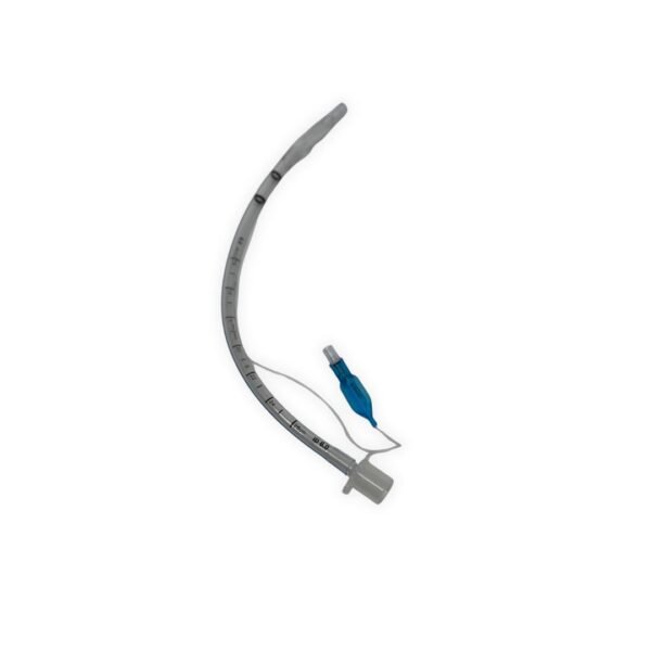 טובוס גודל 6.0